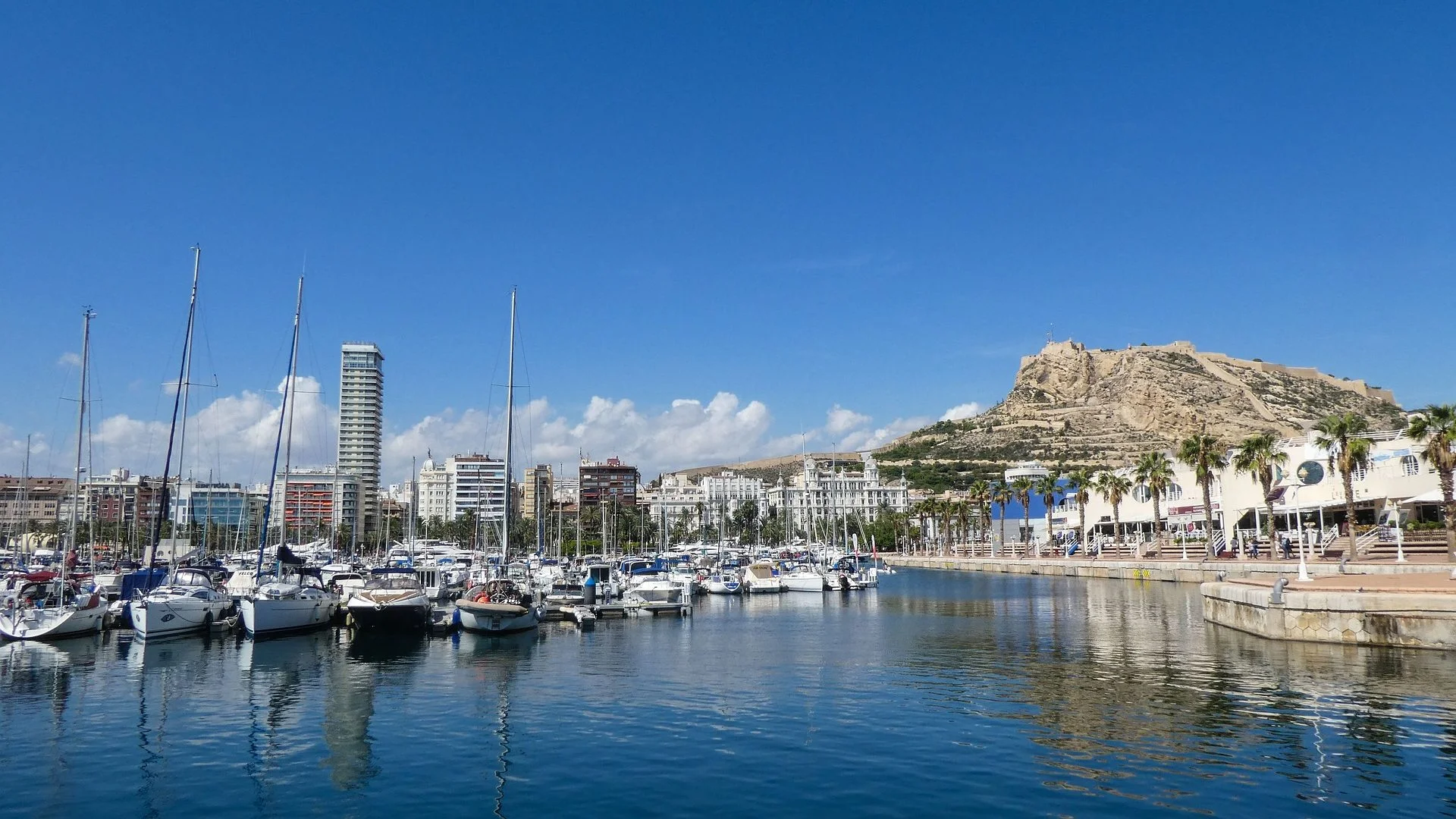 Restaurantes donde comer en Alicante